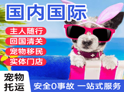 淮安航空物流国际宠物托运 【国